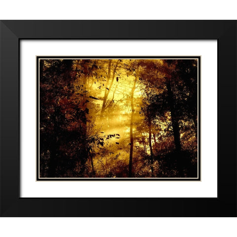 Trees 34 Black Modern Wood Framed Art Print with Double Matting by Lee, Rachel