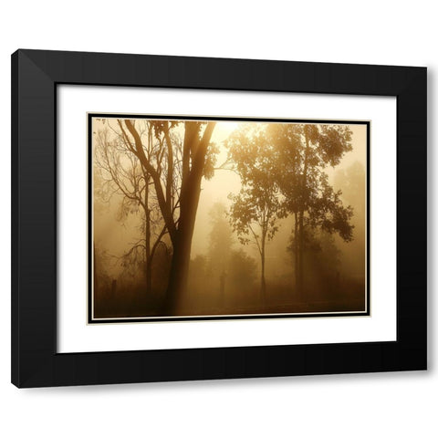 Trees 37 Black Modern Wood Framed Art Print with Double Matting by Lee, Rachel