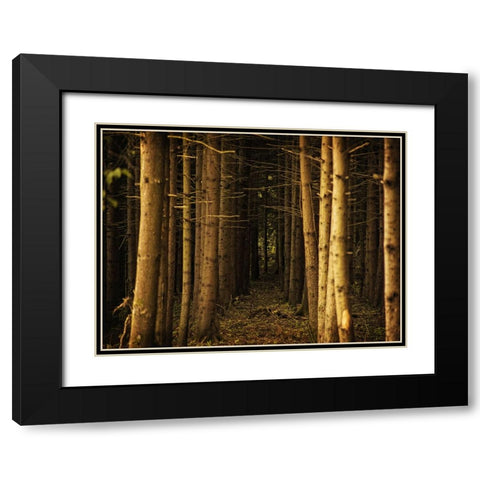 Trees 39 Black Modern Wood Framed Art Print with Double Matting by Lee, Rachel