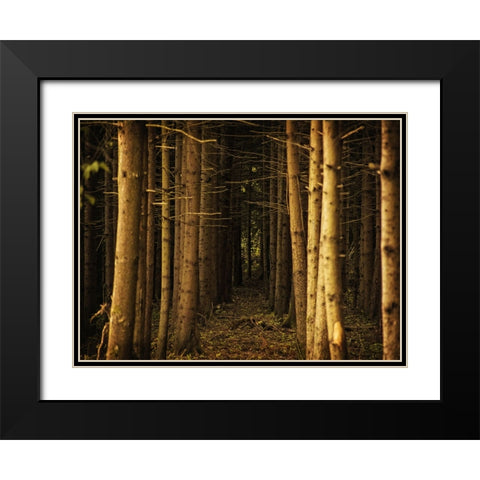 Trees 39 Black Modern Wood Framed Art Print with Double Matting by Lee, Rachel