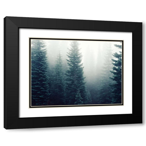 Trees 42 Black Modern Wood Framed Art Print with Double Matting by Lee, Rachel