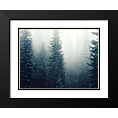 Trees 42 Black Modern Wood Framed Art Print with Double Matting by Lee, Rachel