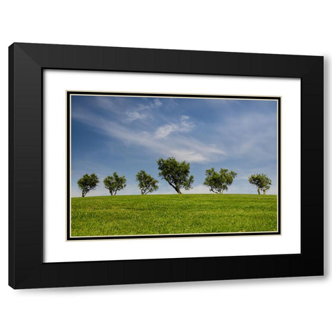 Trees 43 Black Modern Wood Framed Art Print with Double Matting by Lee, Rachel