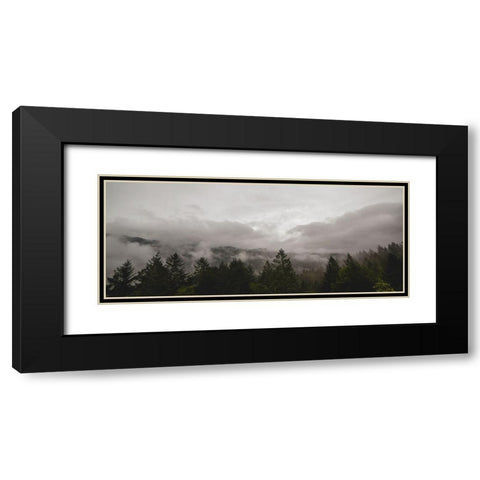 Trees 46 Black Modern Wood Framed Art Print with Double Matting by Lee, Rachel