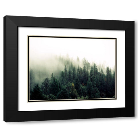 Trees 47 Black Modern Wood Framed Art Print with Double Matting by Lee, Rachel