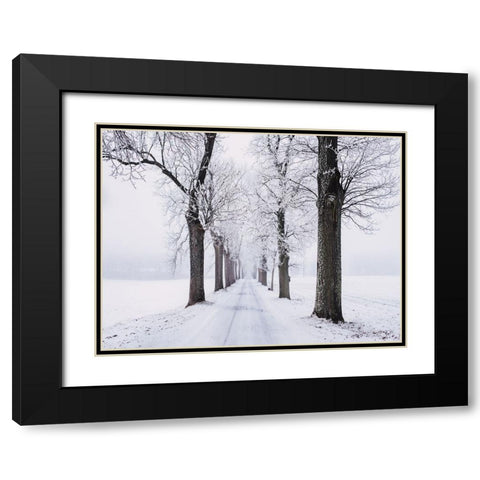 Trees 49 Black Modern Wood Framed Art Print with Double Matting by Lee, Rachel