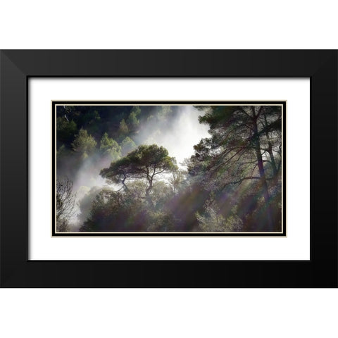 Trees 5 Black Modern Wood Framed Art Print with Double Matting by Lee, Rachel