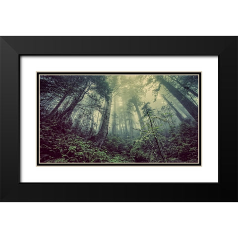 Trees 51 Black Modern Wood Framed Art Print with Double Matting by Lee, Rachel