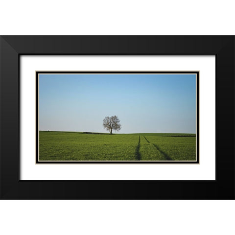 Trees 52 Black Modern Wood Framed Art Print with Double Matting by Lee, Rachel