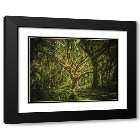 Trees 53 Black Modern Wood Framed Art Print with Double Matting by Lee, Rachel