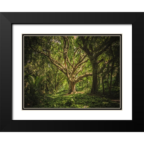 Trees 53 Black Modern Wood Framed Art Print with Double Matting by Lee, Rachel