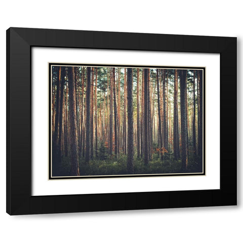 Trees 54 Black Modern Wood Framed Art Print with Double Matting by Lee, Rachel
