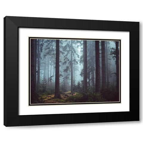 Trees 55 Black Modern Wood Framed Art Print with Double Matting by Lee, Rachel