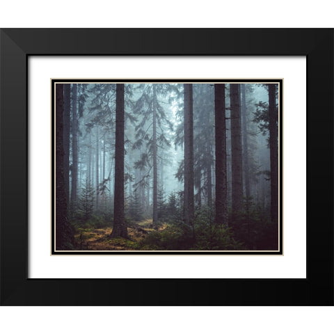 Trees 55 Black Modern Wood Framed Art Print with Double Matting by Lee, Rachel