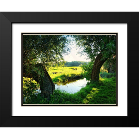 Trees 58 Black Modern Wood Framed Art Print with Double Matting by Lee, Rachel