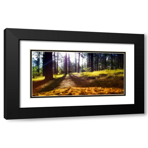 Trees 59 Black Modern Wood Framed Art Print with Double Matting by Lee, Rachel