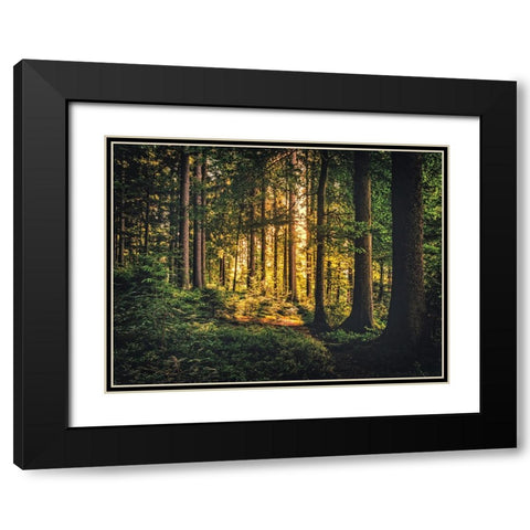 Trees 61 Black Modern Wood Framed Art Print with Double Matting by Lee, Rachel