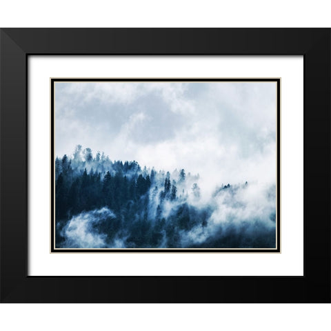 Trees 62 Black Modern Wood Framed Art Print with Double Matting by Lee, Rachel