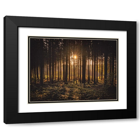 Trees 63 Black Modern Wood Framed Art Print with Double Matting by Lee, Rachel