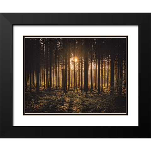 Trees 63 Black Modern Wood Framed Art Print with Double Matting by Lee, Rachel
