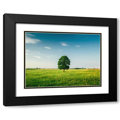 Trees 67 Black Modern Wood Framed Art Print with Double Matting by Lee, Rachel