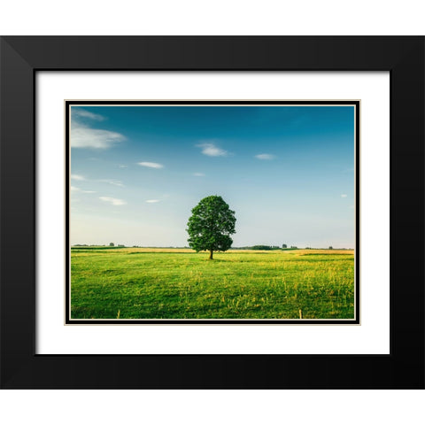 Trees 67 Black Modern Wood Framed Art Print with Double Matting by Lee, Rachel