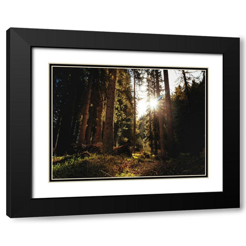 Trees 69 Black Modern Wood Framed Art Print with Double Matting by Lee, Rachel
