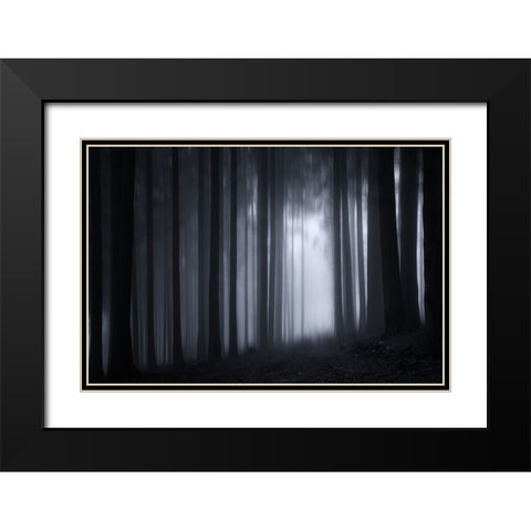 Trees 7 Black Modern Wood Framed Art Print with Double Matting by Lee, Rachel