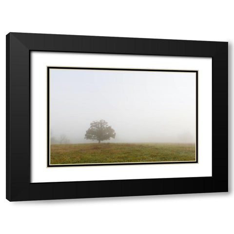 Trees 8 Black Modern Wood Framed Art Print with Double Matting by Lee, Rachel