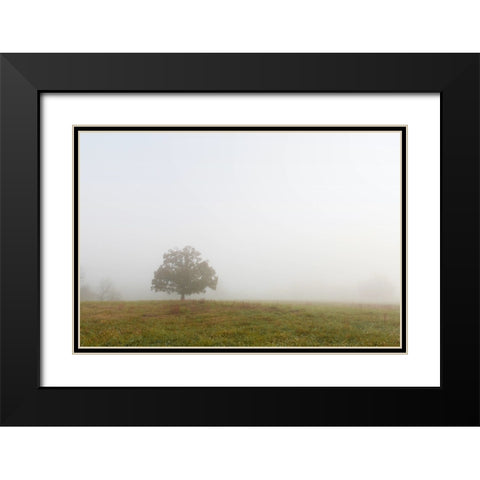 Trees 8 Black Modern Wood Framed Art Print with Double Matting by Lee, Rachel