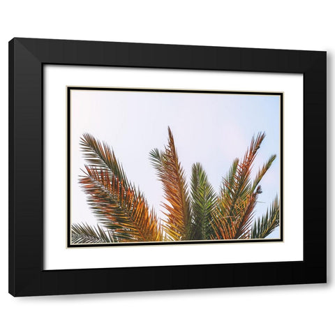 Trees 82 Black Modern Wood Framed Art Print with Double Matting by Lee, Rachel