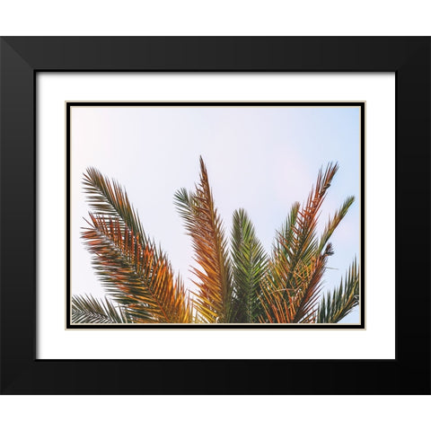 Trees 82 Black Modern Wood Framed Art Print with Double Matting by Lee, Rachel
