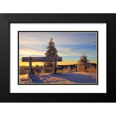 Trees And Bench 1 Black Modern Wood Framed Art Print with Double Matting by Lee, Rachel