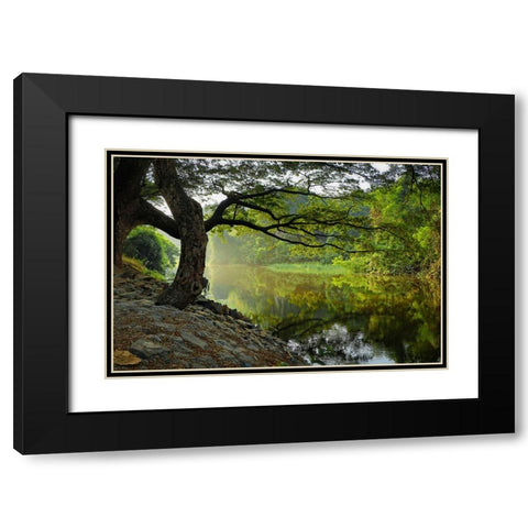 Trees And Water 1 Black Modern Wood Framed Art Print with Double Matting by Lee, Rachel