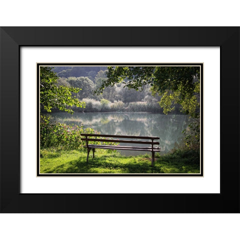 Trees And Water 3 Black Modern Wood Framed Art Print with Double Matting by Lee, Rachel