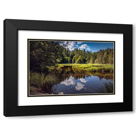 Trees And Water 8 Black Modern Wood Framed Art Print with Double Matting by Lee, Rachel