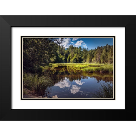 Trees And Water 8 Black Modern Wood Framed Art Print with Double Matting by Lee, Rachel