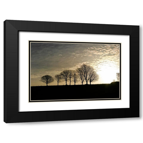 Trees Evening Black Modern Wood Framed Art Print with Double Matting by Lee, Rachel