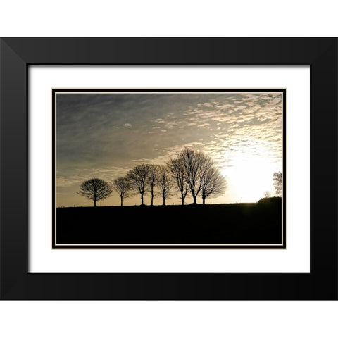 Trees Evening Black Modern Wood Framed Art Print with Double Matting by Lee, Rachel