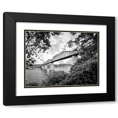 Walnut From South BW Black Modern Wood Framed Art Print with Double Matting by Lee, Rachel