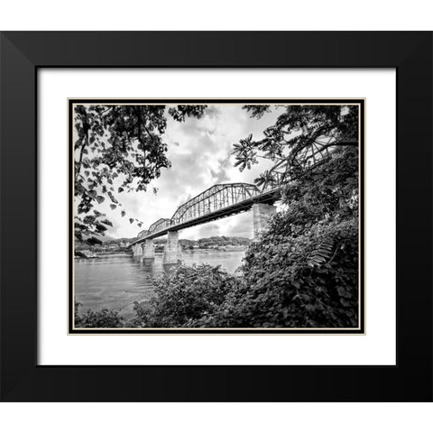 Walnut From South BW Black Modern Wood Framed Art Print with Double Matting by Lee, Rachel