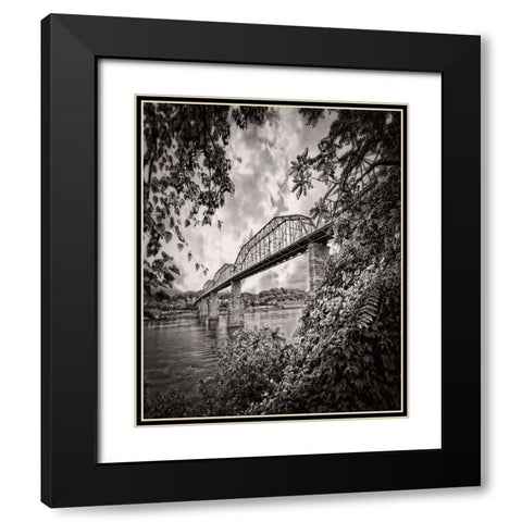 Walnut From South BW Rugged Black Modern Wood Framed Art Print with Double Matting by Lee, Rachel