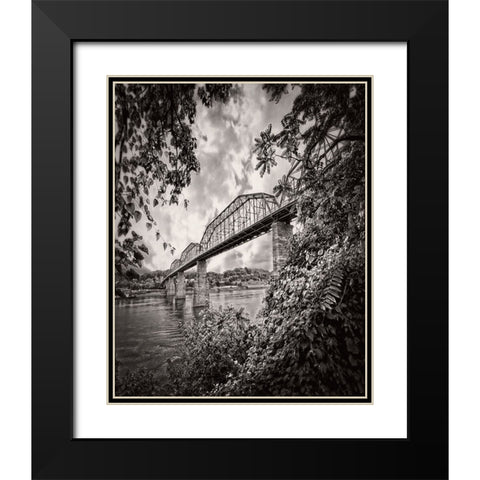 Walnut From South BW Rugged Black Modern Wood Framed Art Print with Double Matting by Lee, Rachel