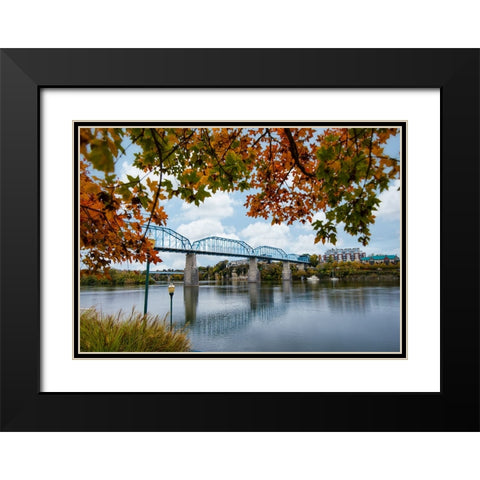 Walnut Leaves Black Modern Wood Framed Art Print with Double Matting by Lee, Rachel