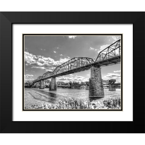 Walnut Left 2 HDR BW Black Modern Wood Framed Art Print with Double Matting by Lee, Rachel
