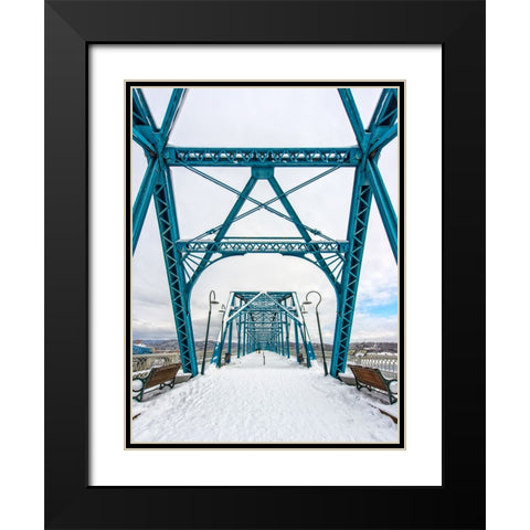 Walnut Snow Black Modern Wood Framed Art Print with Double Matting by Lee, Rachel