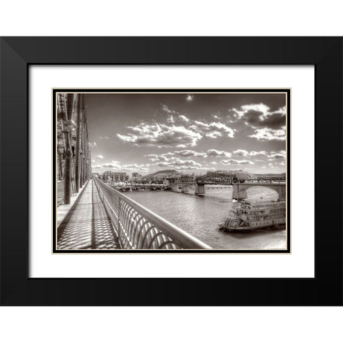 Walnut To Lookout Sepia Black Modern Wood Framed Art Print with Double Matting by Lee, Rachel