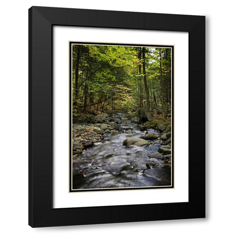 Waterfall 13 Black Modern Wood Framed Art Print with Double Matting by Lee, Rachel