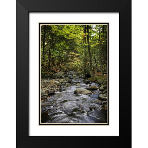 Waterfall 13 Black Modern Wood Framed Art Print with Double Matting by Lee, Rachel