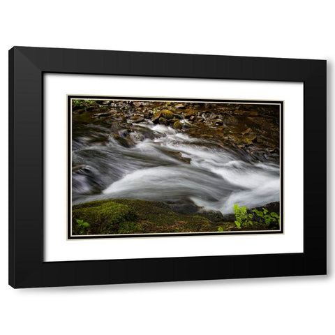 Waterfall 2 Black Modern Wood Framed Art Print with Double Matting by Lee, Rachel